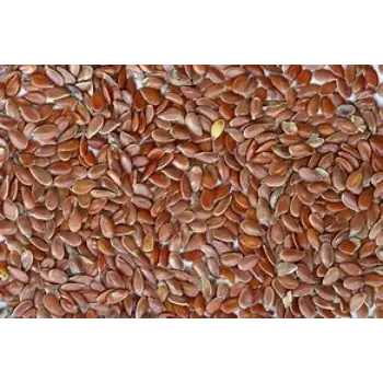 Flax Seed