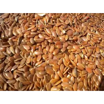 Flax Seed