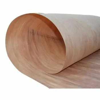 Plain Flexible Plywood