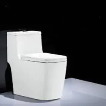 Floor Mounted Toilets 