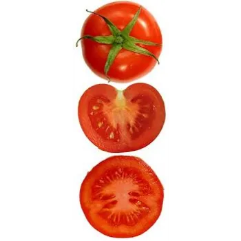 Fresh Tomato