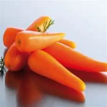 Frozen Carrot