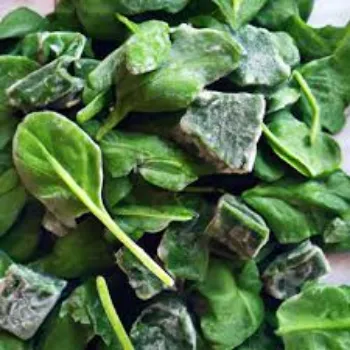 Frozen Spinach