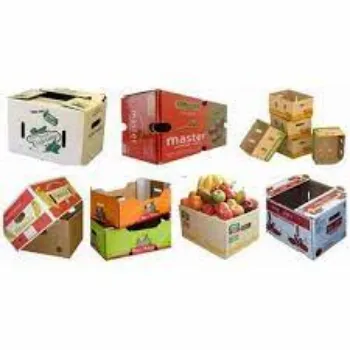  Fruit and Vegetable Packaging Boxes