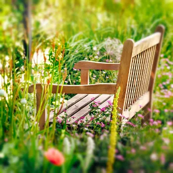 Stylish Garden Bench