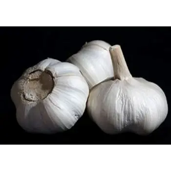 Organic Garlic