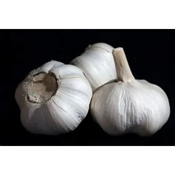 Organic Garlic