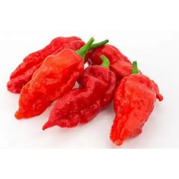 Organic Ghost Pepper