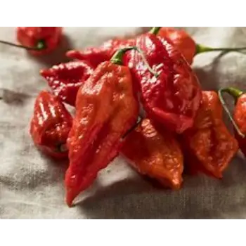 Ghost Pepper