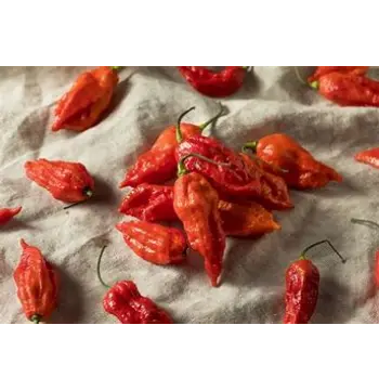 Fresh Ghost Pepper