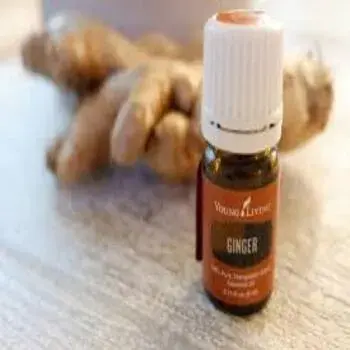 Ginger Oil Form  Liquid