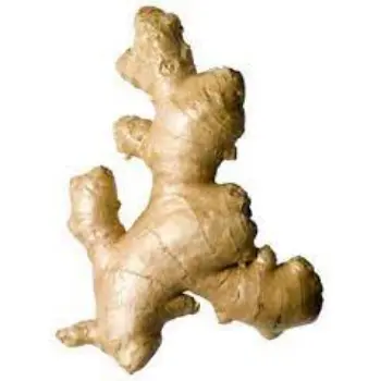 Organic Fresh Ginger