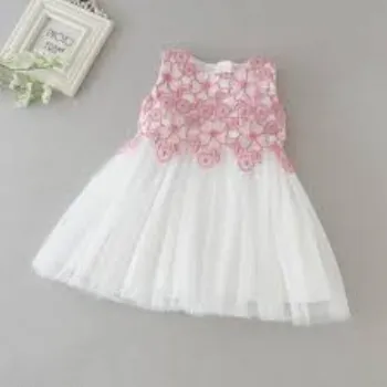 Girls Net Fancy Frocks