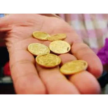  Gold Coins