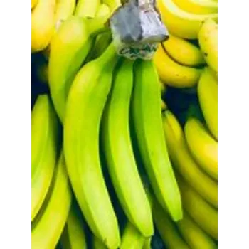 Organic Green Banana