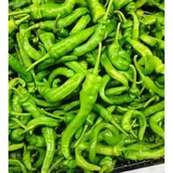 Organic Green Chilli