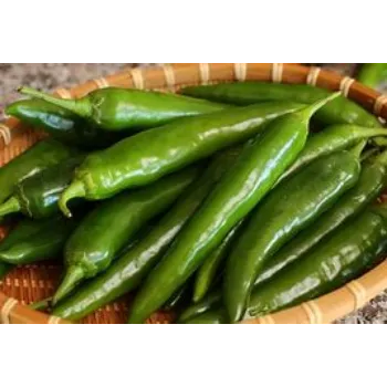 Green Chilli