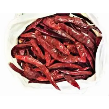 Guntur Dry Red Chilli