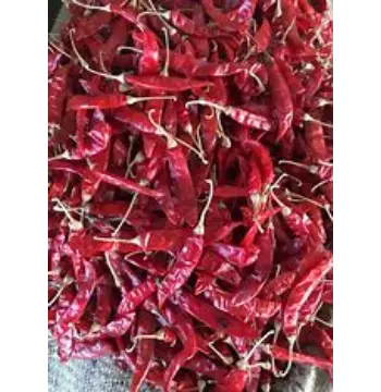 Fresh Guntur Dry Red Chilli