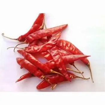 Guntur Dry Red Chilli