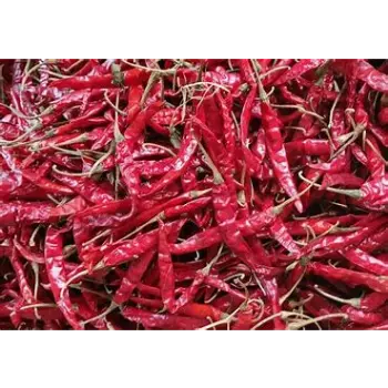 Guntur Dry Red Chilli