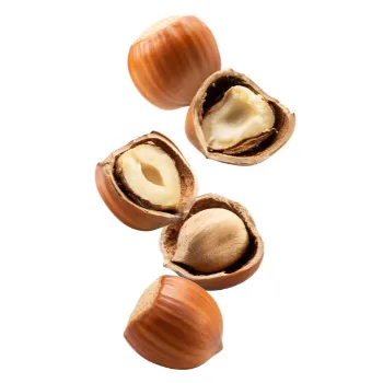  Hazelnut