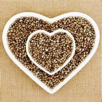 Hemp Seeds