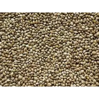 Hemp Seeds