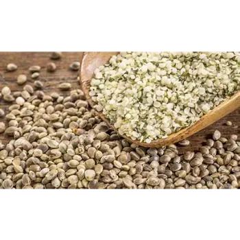 Fresh Hemp Seeds