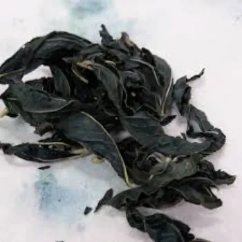 Dry Indigo Leaves