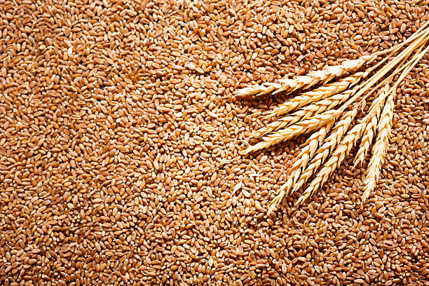 Natural Mix Grain Seeds