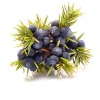 Natural Juniper Berries