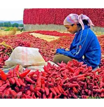 Natural Kashmiri Lal mirch