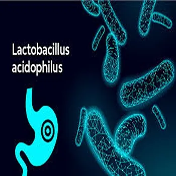 Lactobacillus Acidophilus