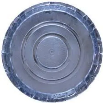  Laminated Paper Plate