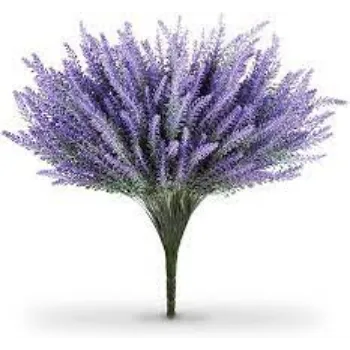 Natural Lavender Flowers Manufacturer