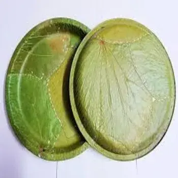 Leaf Plate