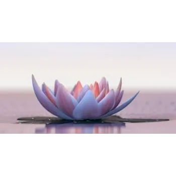 Natural Lotus Flowers