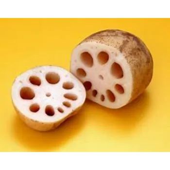 Lotus Root