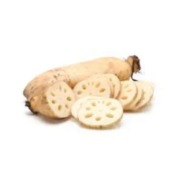 Organic Lotus Root