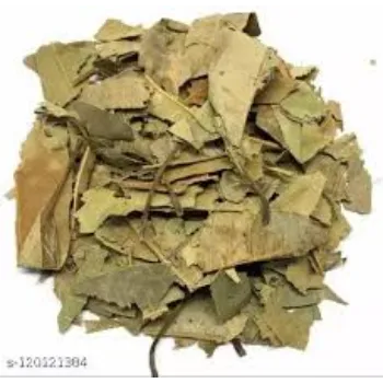 Natural Dried Mango Leaves