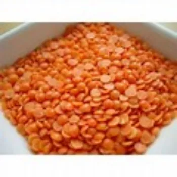 Masoor Dal