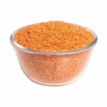 Masoor Dal