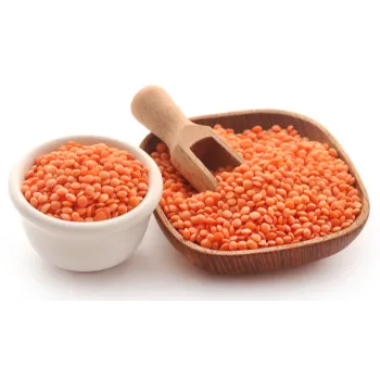  Masoor Dal