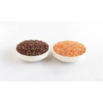 Organic Masoor Dal