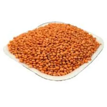 Organic Split Masoor Dal