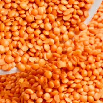 Common Red Masoor Dal