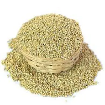 Organic Millet Seeds