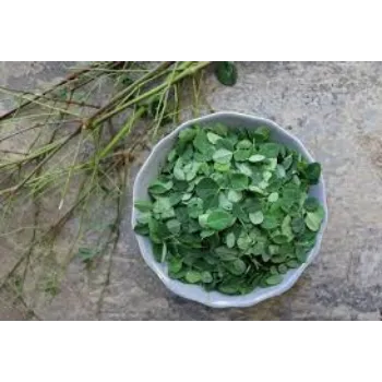 Dried Moringa Oleifera Leaves