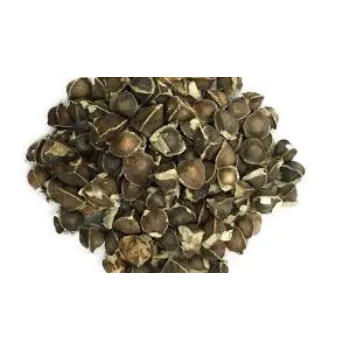 Organic Moringa Seed